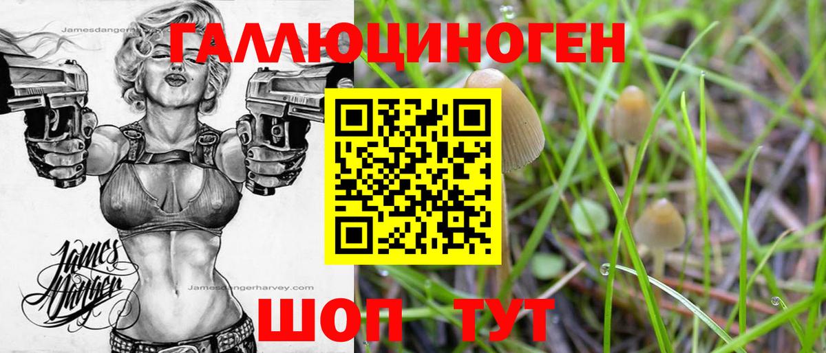 Псилоцибиновые грибы мицелий  Вход с VPN  Галлюциногенные грибы Psilocybine cubensis  Дзержинский 