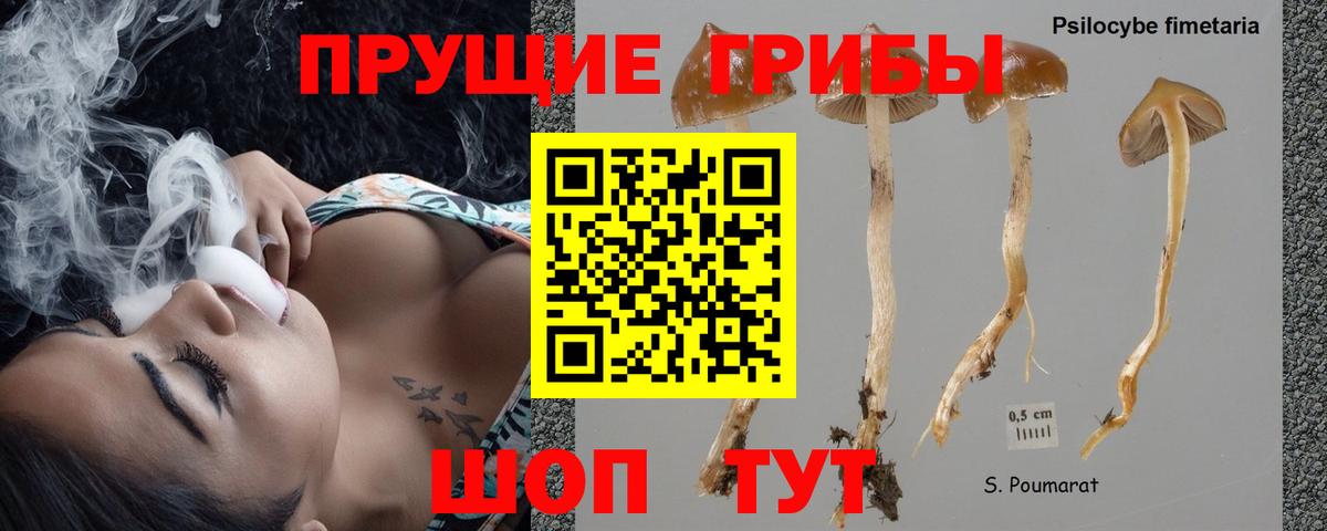 A-PVP Дзержинский